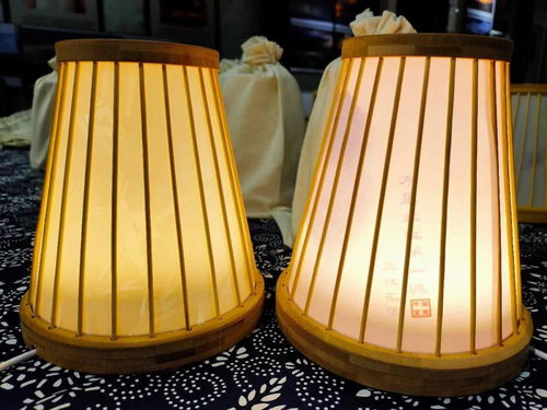 宜賓造智能竹燈發(fā)布 科技文創(chuàng)產(chǎn)品新玩法，燈具塑件引領未來